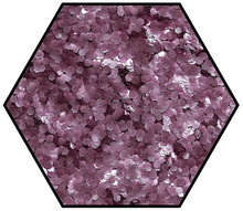 Load image into Gallery viewer, Medium fine rose pink biodegradable glitter
